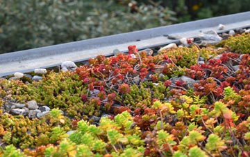 the cost of Inverailort green roof installation