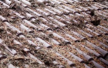 Inverailort roof cleaning companies